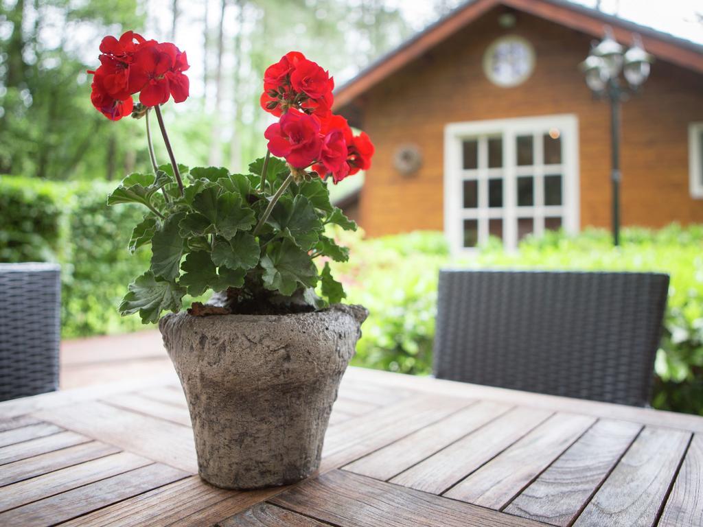 Luxurious Chalet In Oud Turnhout With Large Garden Villa Oud-Turnhout Kültér fotó